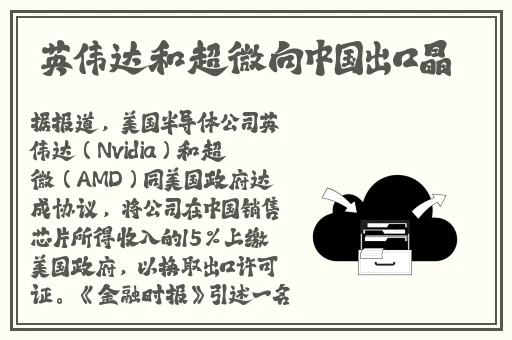 欧洲尺码日本尺码专线美国t